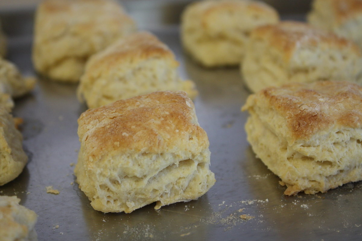 freshly made biscuits