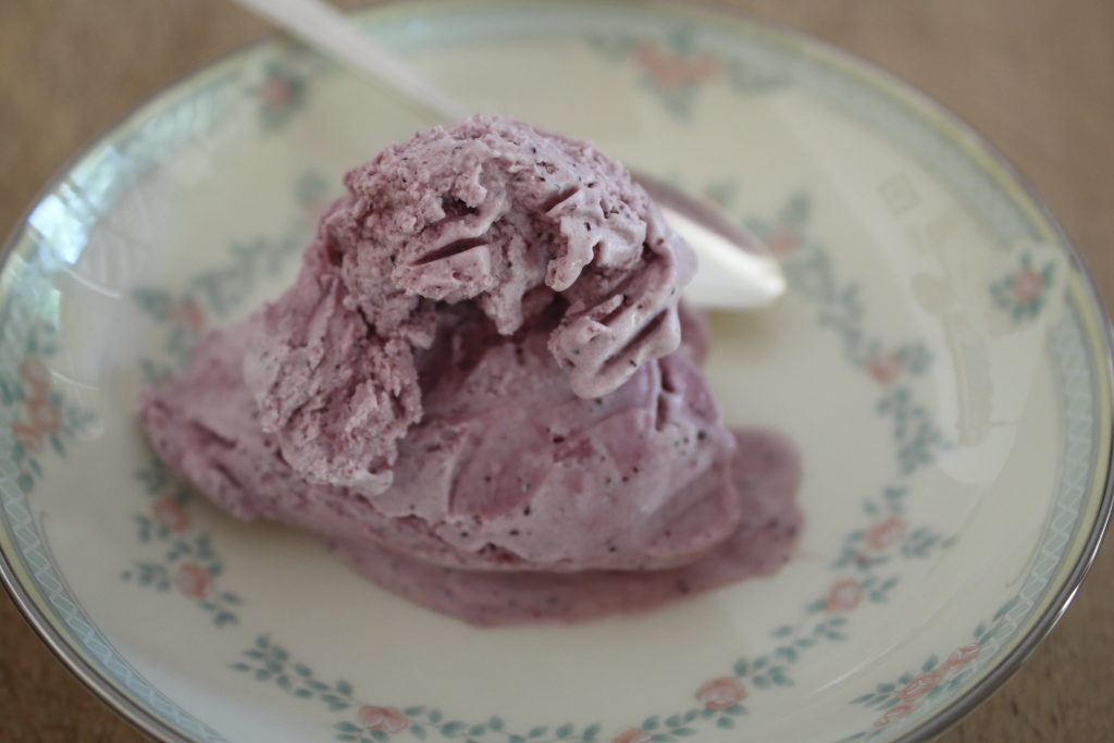 philidelphia-style blueberry ice cream