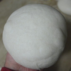 dough ready for the final rising.
