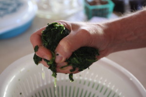 squeezing spinach