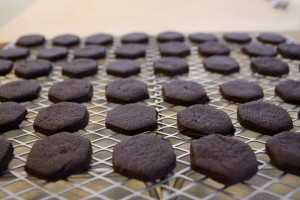 Chocolate cookies! Yum!