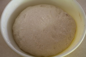 dough ready for the fridge