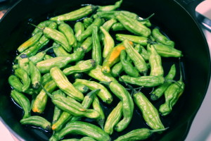 cooking shishito peppers