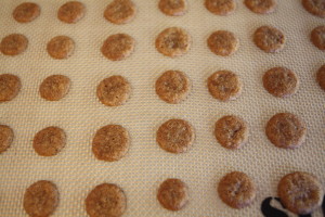 cooling ginger thins