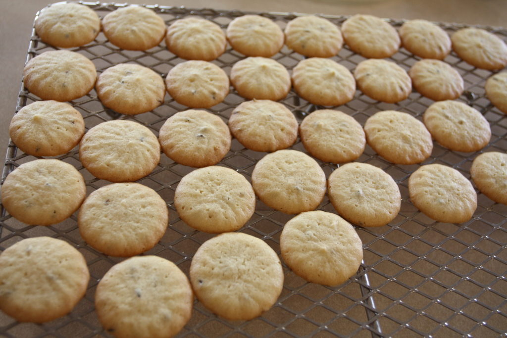 Caraway Seed Cookies – Best of Scratchin' It