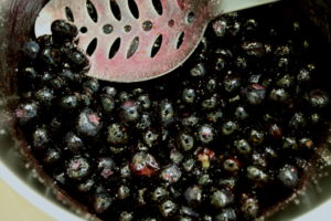 cooking blueberries