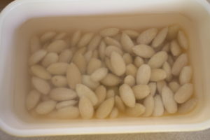 soaking almonds