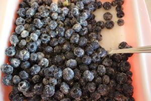 coating blueberries